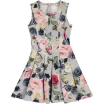 TK Maxx Grey floral dress offer