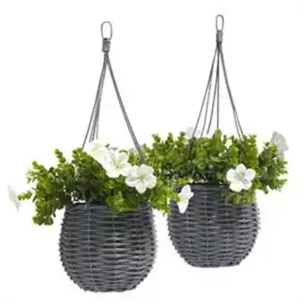 Home Bargains Jardin: willow hanging basket 2 pack - grey offer