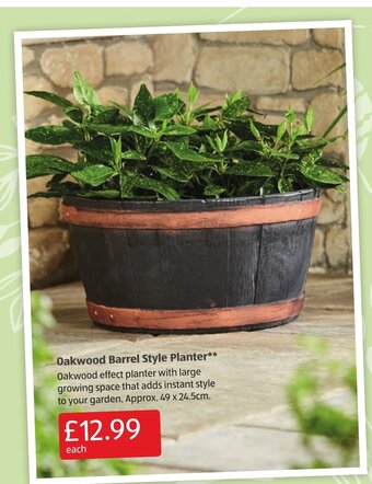 Aldi Oakwood Barrel Style Planter offer