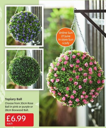 Aldi Topiary Ball offer