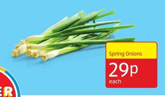 Aldi Spring onions offer