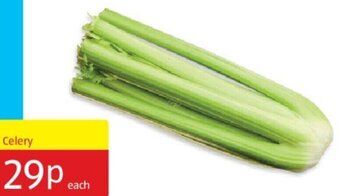 Aldi Celery offer