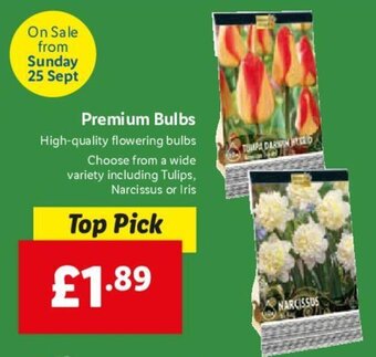 Lidl Premium Bulbs offer