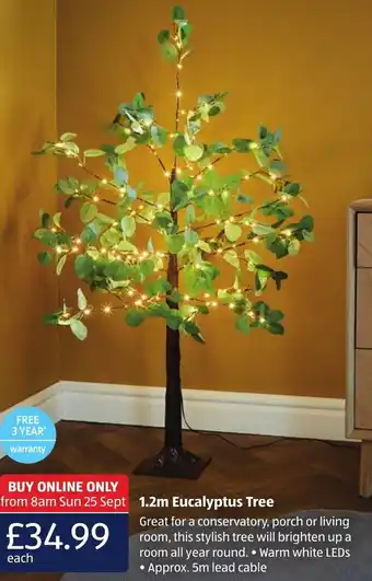Aldi 1.2m Eucalyptus Tree offer