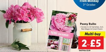 Lidl Peony Bulbs offer