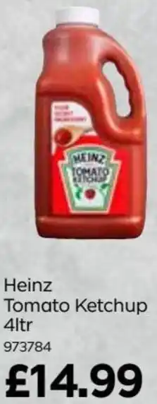 Bestway Tomato Ketchup 4L offer