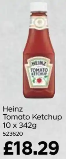 Bestway Tomato Ketchup 10 x 342g offer