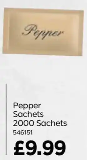 Bestway Pepper Sachets 2000 Sachets offer