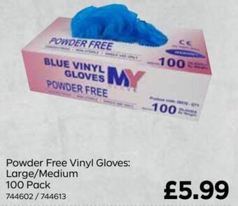 Bestway Powder Free Vinyl Gloves: Large/Medium 100 Pack offer