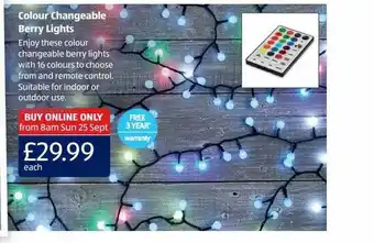 Aldi Colour changeable berry lights offer