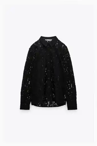 ZARA Semi-sheer lace shirt offer