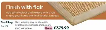 Robert Dyas Sisal rug offer