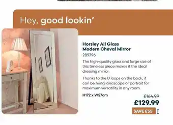 Robert Dyas Horsley all glass modern cheval mirror offer