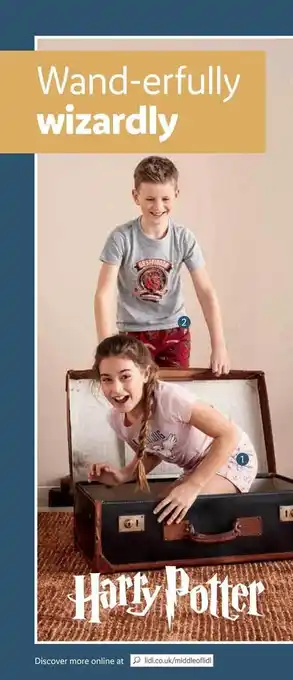 Lidl Harry potter offer