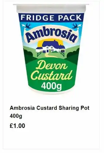Ambrosia custard sharing pot 400 g