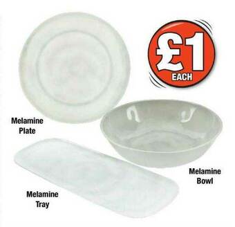 Poundland Melamine Plate, Melamine Tray Or Melamine Bowl offer