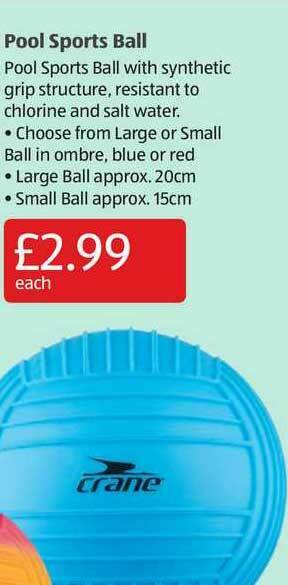 Aldi Pool Sports Ball offer