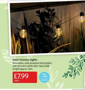 Aldi Solar Festoon Lights offer