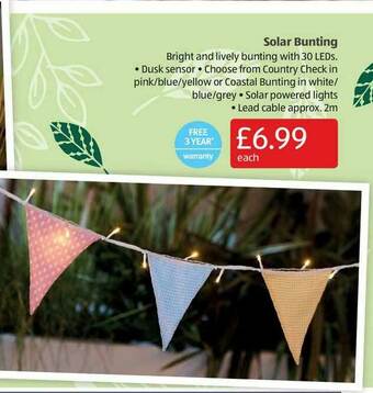 Aldi Solar Bunting offer