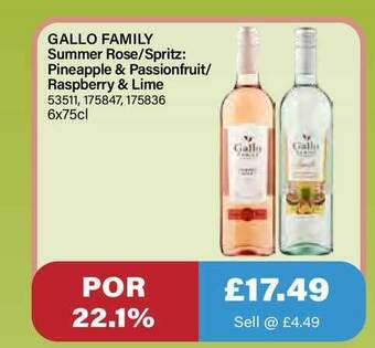 Bestway Gallo Family offer