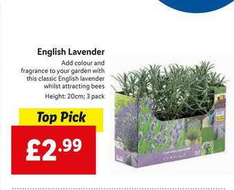 Lidl English Lavender offer