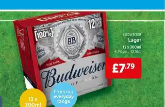 Lidl Budweiser Lager 12 X 300ml offer