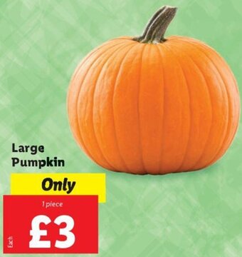 Lidl Large Pumpkin offer