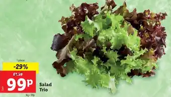 Lidl Salad Trio offer