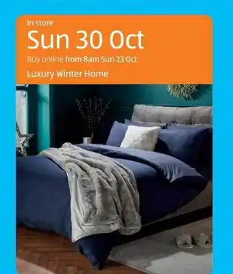 Aldi Luxury winter home offer