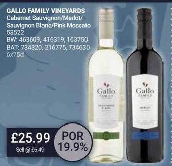 Bestway Gallo family vineyards offer