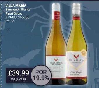 Bestway Villa maria offer