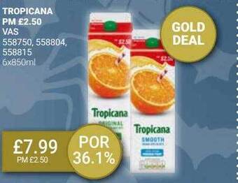 Bestway Tropicana offer