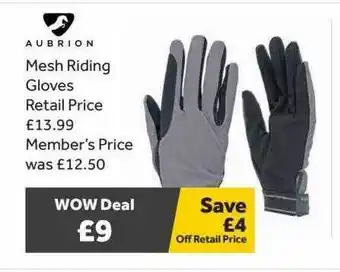 GO Outdoors Aubrion mesh riding gloves offer