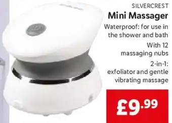 Lidl Mini Massager offer