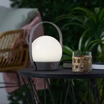 Home Bargains Pifco: led globe light with handle offer