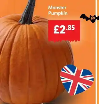 Lidl Monster pumpkin offer