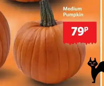 Lidl Medium pumpkin offer