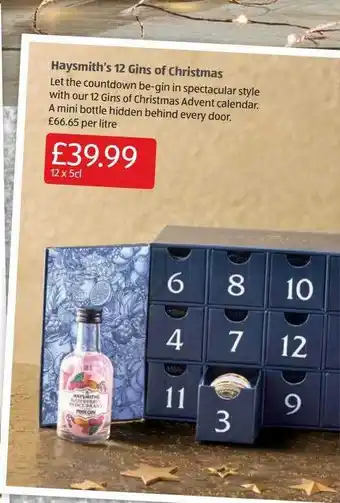 Aldi Haysmith's 12 gins of christmas offer