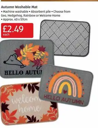 Aldi Autumn washable mat offer