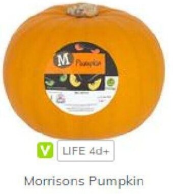 Morrisons Morrisons Pumpkin offer