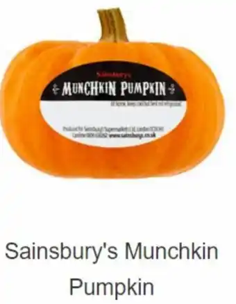 Sainsbury's Sainsbury's Munchkin Pumpkin offer