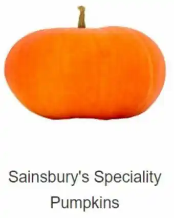 Sainsbury's Sainsbury's Speciality Pumpkins offer