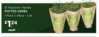 Lidl O'hanlon Herbs Potted Herbs offer