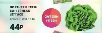 Lidl Northern Irish Butterhead Lettuce offer