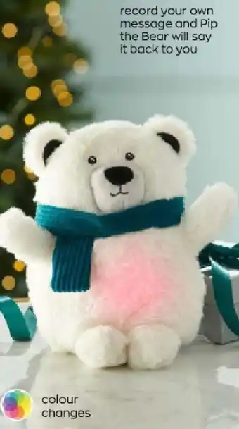 Talk-Back Bear 20cm