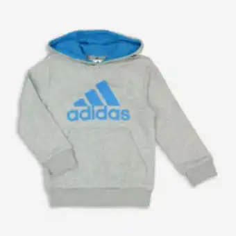 TK Maxx Grey & blue hoodie offer
