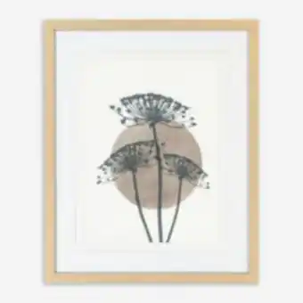 TK Maxx Dried flower paper natural wall art 40x50cm offer