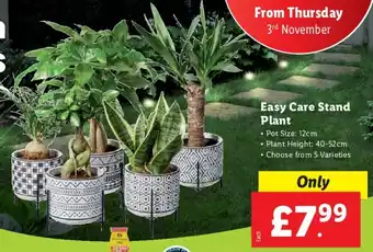 Lidl Easy Care Stand Plant offer