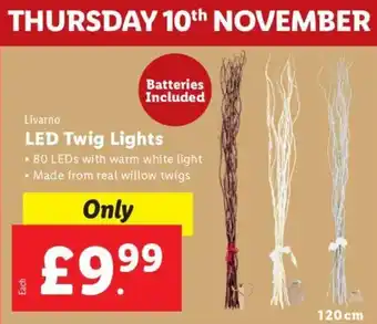 Lidl Livarno Led Twig Lights offer