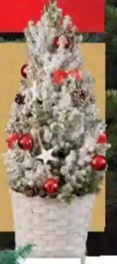 Lidl 6 Foot Christmas Tree offer